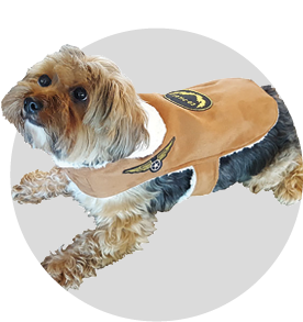 Pets apparel category
