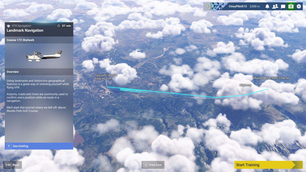 Microsoft Flight Simulator - Landmark Navigation
